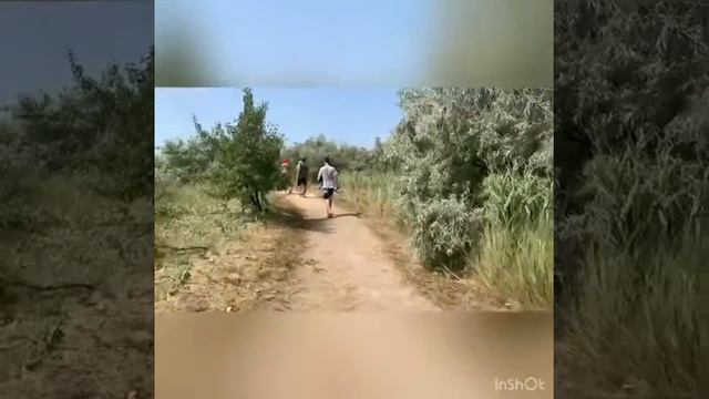 Бердянская Коса заповедник Мальдивы или мусорка / Азовское море / Дорога на Бердянска коссу смотреть онлайн
