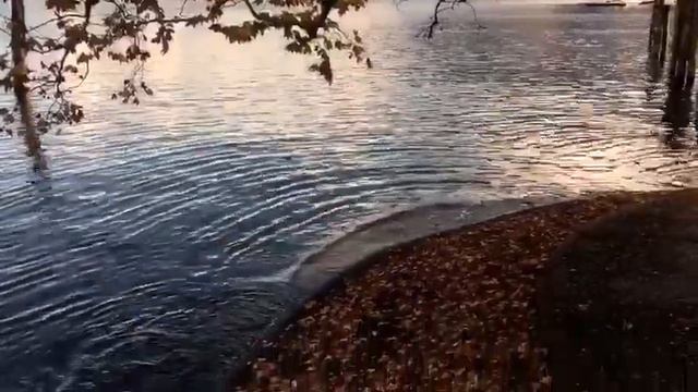 Locarno / Локарно смотреть онлайн