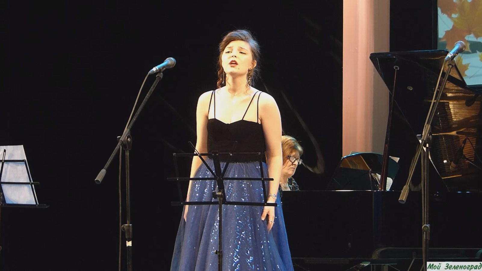 Дарья Христенкова. К цитре (М. Глинка)