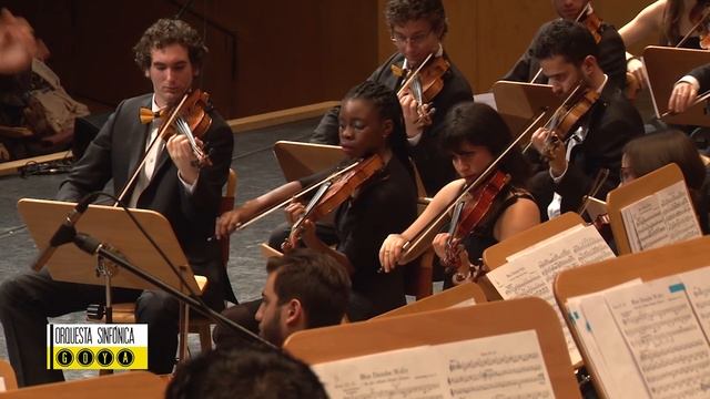 Strauss: El Bello Danubio Azul / Sinfónica Ciudad De Zaragoza