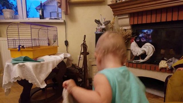 Аріана вкладає спати цуценя смотреть онлайн