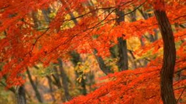 Autumn Leaves sang by Kevin D Downey смотреть онлайн