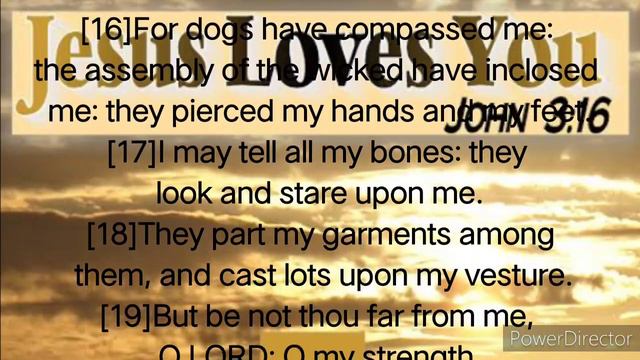 AUDIO BIBLE| THE BOOK OF PLSAMS | Psalms 22:1-31 смотреть онлайн