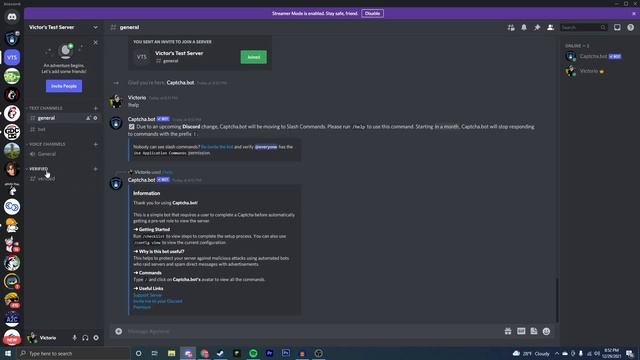 How to Get and Setup Server Captcha Verification Bot on Discord Server Verification Bot Working 202 смотреть онлайн