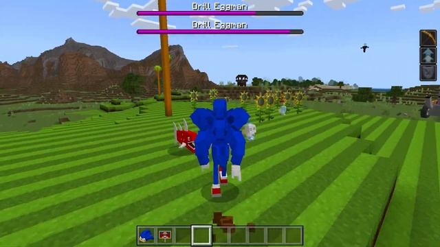 Sonic Land ADDON in Minecraft PE смотреть онлайн