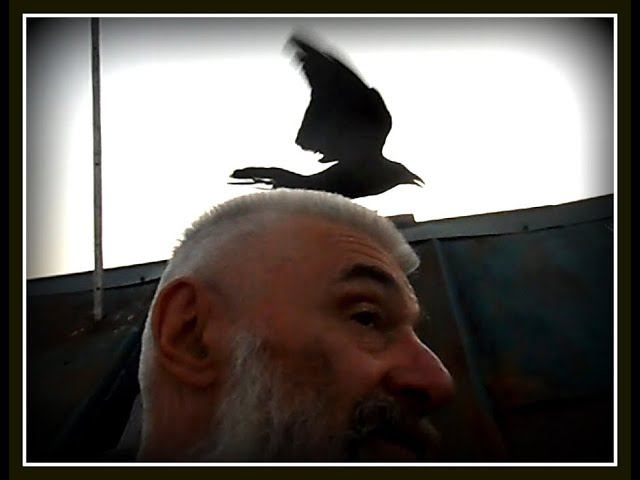 Как мы с вороном по крыше лазали. смотреть онлайн