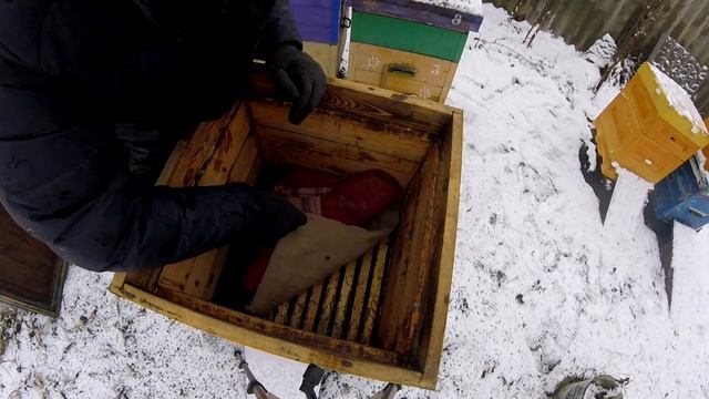 Гибель пчёл зимой!... Клещ варроа убивает наповал... смотреть онлайн