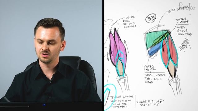 Avoiding Symmetry when Drawing Triceps - Anatomy Critique смотреть онлайн