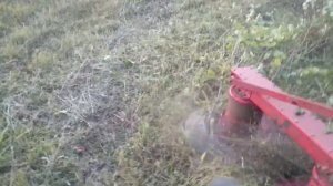 Роторная или сегментная косилка? №1 Rotary lawn mower, or finger ?