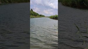 Работа эхолота Toslon 520