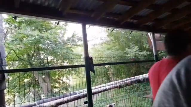 Г.КУРСК МОШИН ЮВИШМО АЛИШЕР смотреть онлайн