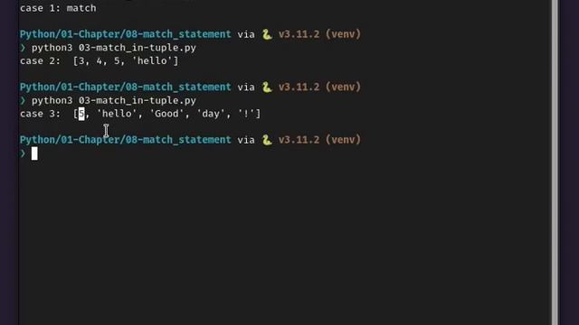 16 - match statement using tuple in Python смотреть онлайн