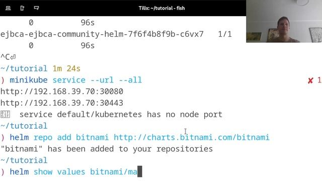 Helm Chart for PKI – Quick start EJBCA by Using a Minikube Kubernetes Cluster with Helm смотреть онлайн