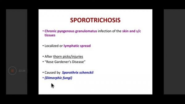 Subcutaneous Mycosis /  mycetoma MICROBIOLOGY