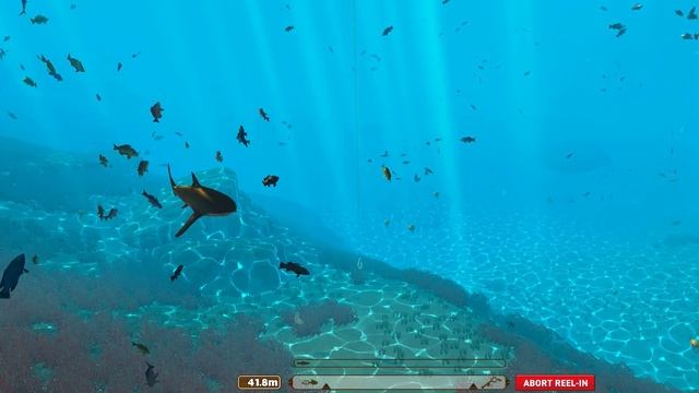 The Fishing Club 3D: Coral Coast Update смотреть онлайн
