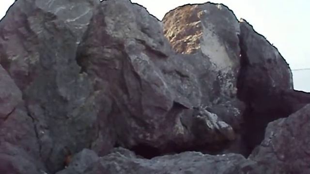 Море судак.AVI