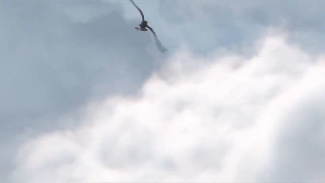 HTTYD || Better Than One || music video смотреть онлайн