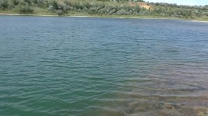 Каша для «убийцы карася». My fishing.