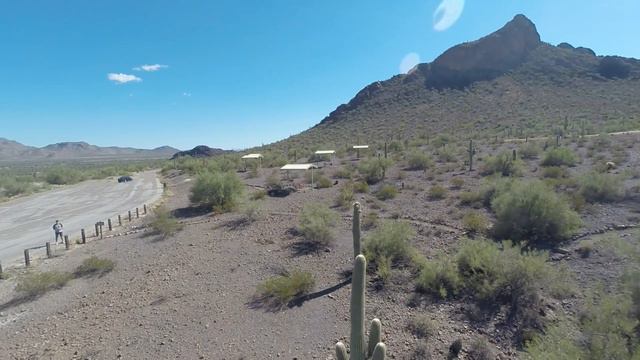 Cactus Inspection смотреть онлайн