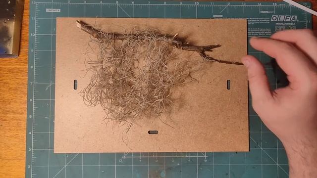 Шок контент. Растение без корней. Тилландсия уснеевидная (Tillandsia Usneoides)