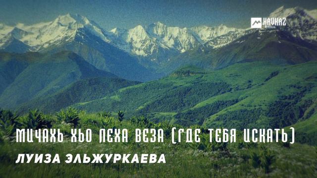 Луиза Эльжуркаева - Мичахь хьо леха веза (Где тебя искать) | KAVKAZ MUSIC CHECHNYA смотреть онлайн
