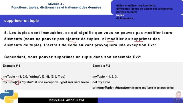 leçon python N°25 Module 4 tuples смотреть онлайн