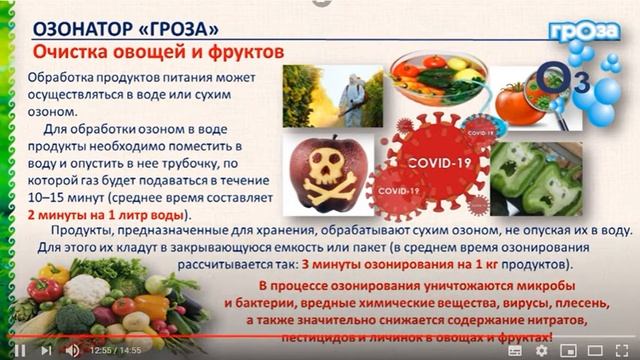 Озонатор Гроза для защиты от вирусов. Арго". Н.В.Коротченко смотреть онлайн