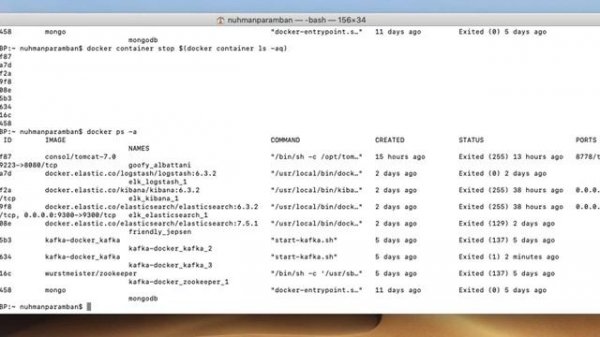 Docker remove prune  images containers volume and networks