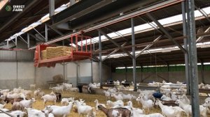 Высокотехнологичная семейная козья ферма