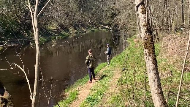 Ленинградская область! РЕКА ЧЕРНАЯ!РЫБАЛКА!#САНКТ-ПЕТЕРБУРГ смотреть онлайн