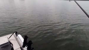 СУДАК НА ТЕЙЛ СПИННЕР. Судак летом. Самая универсальная приманка!