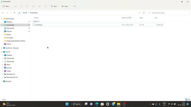 Kidney Tumor Segmentation using YOLOv5 in Pytorch | Stone Segmentation смотреть онлайн