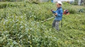 Восьмилетний пацан круто управляет триммером.