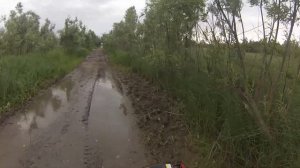 Летом на мотособаке