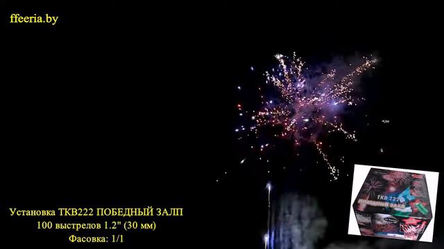 TKB222 ПОБЕДНЫЙ ЗАЛП смотреть онлайн