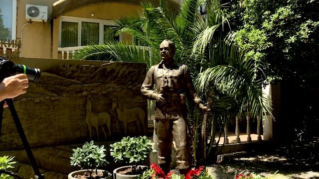 День переднеазиатского леопарда в Сочи смотреть онлайн