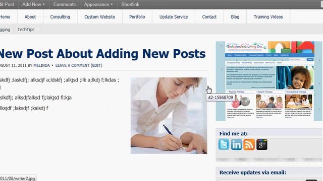 Adding a Post or Page in WordPress смотреть онлайн
