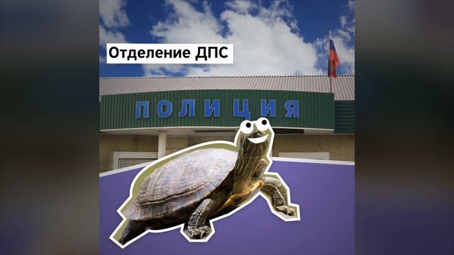 Если вашу машину эвакуируют смотреть онлайн