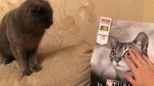 Как МЕНЯТЬ корм Коту | Смена корма - Как перевести кошку на другой корм?