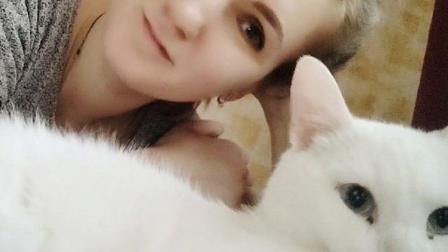 Глухой кот никому не нужен / Реальная история / Истории из жизни про кошек смотреть онлайн