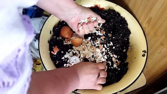 Томата "Балконное чудо"перевалка и приготовления почвенного грунта. смотреть онлайн