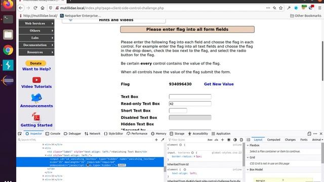 Mutillidae: Lab 5 Walkthrough смотреть онлайн