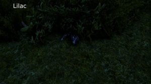 101 Bugs of Skyrim - Butterfly + Moth HD Retextures