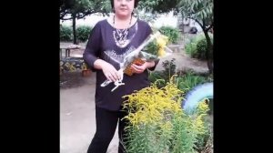 Вы первый наш учитель! Вы словно наш родитель!