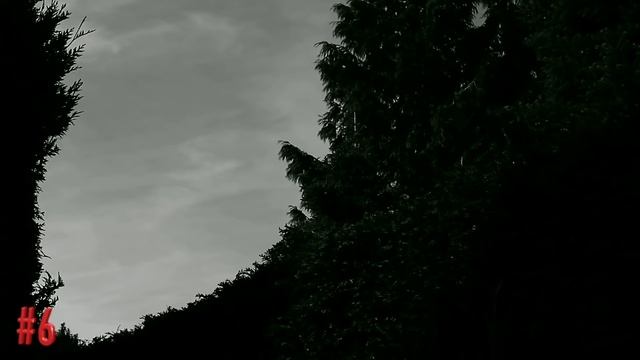 Best Scary Skinwalker Stories | Ultimate Compilation, Wendigo, Cryptid, True Scary Stories For Slee