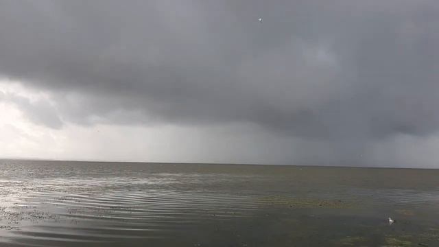 Плавать НЕЛЬЗЯ!!!???Удивительное озеро НЕРО!!!?карантин на озере 2021 ?? смотреть онлайн