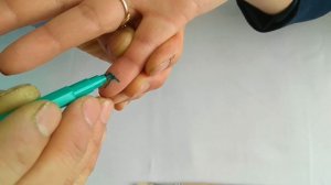 Су-Джок Урок 3: Мини-Система Соответствия.