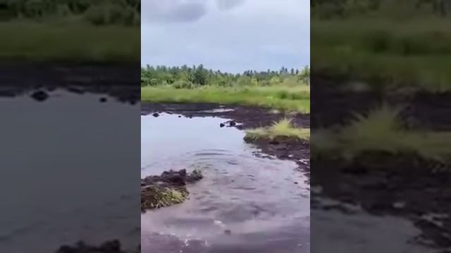 Не зная броду, не суйся в воду. смотреть онлайн