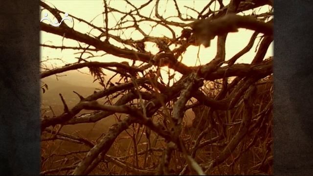 Россия: путь к миру и согласию. Святая Русь