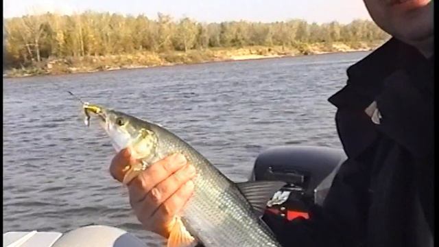 Волжская рыбалка 2003. Рыба в реке ещё была. смотреть онлайн